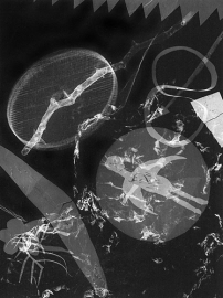 radiograph-3-500