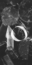 radiograph-4-500