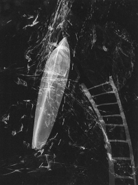 radiograph-6-500