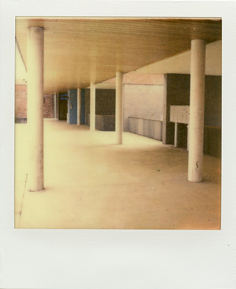 photo andrea tonellotto