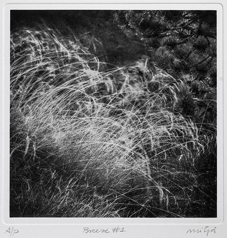 photo-gravure Carles Mitjà