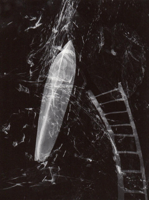 henry lewis photo