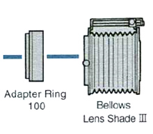 bague-compendium-mamiya