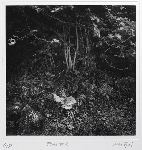 carles Mitjà - Photogravure