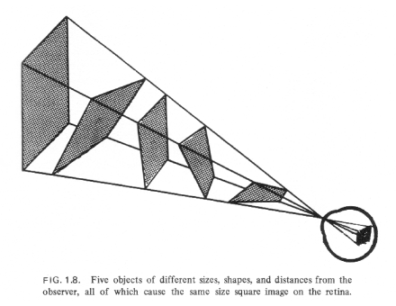 Une image rétinienne et ses différentes projections