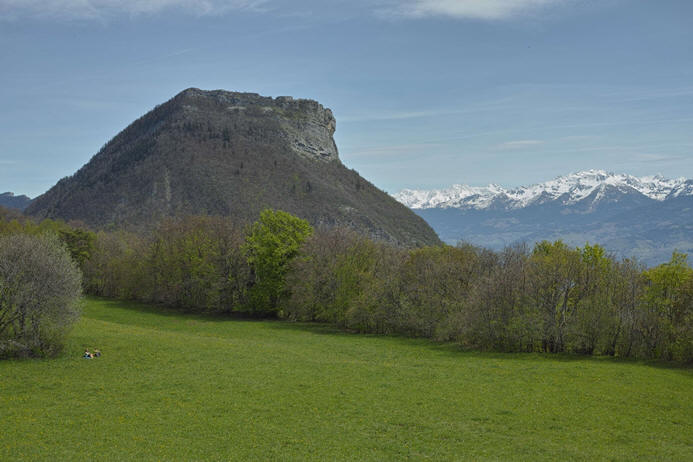 paysage contemporain
