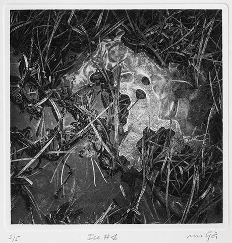 photo gravure