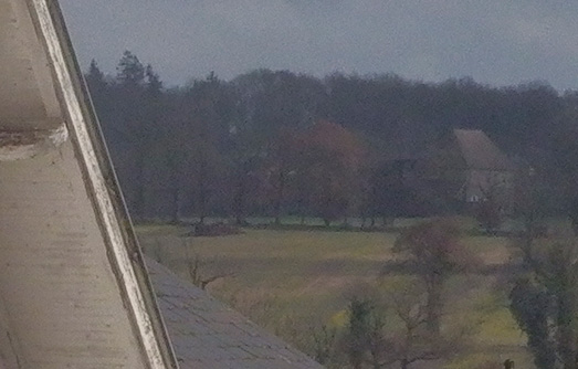 detail