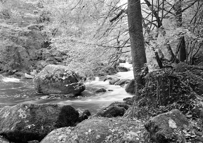 Le site Corot à Saint-Junien
