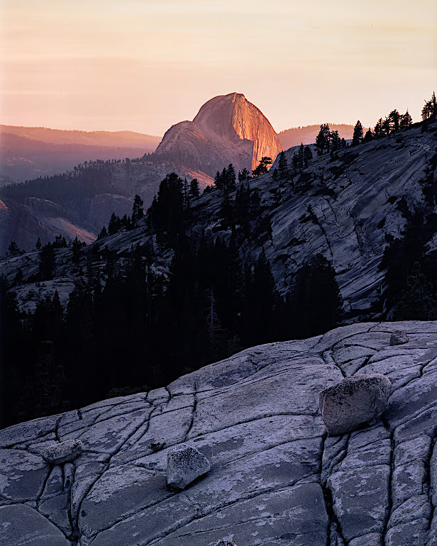 spencer cox photo