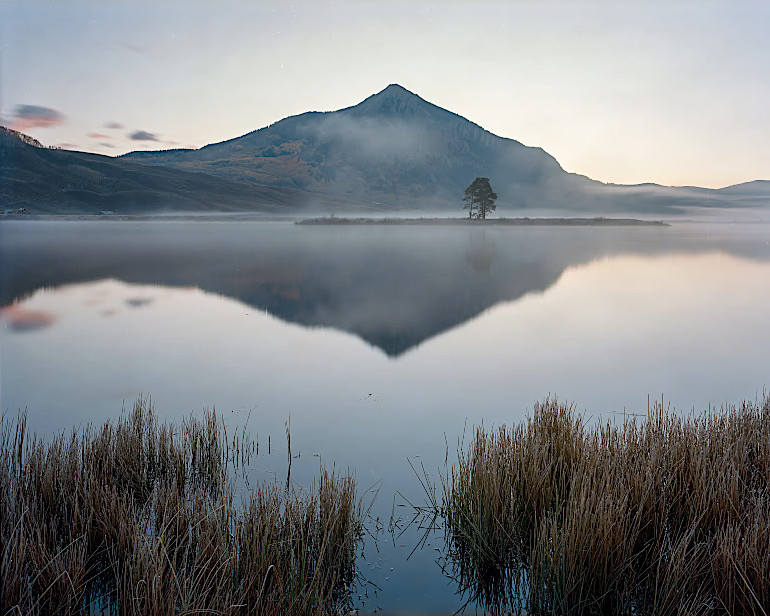 spencer cox photo